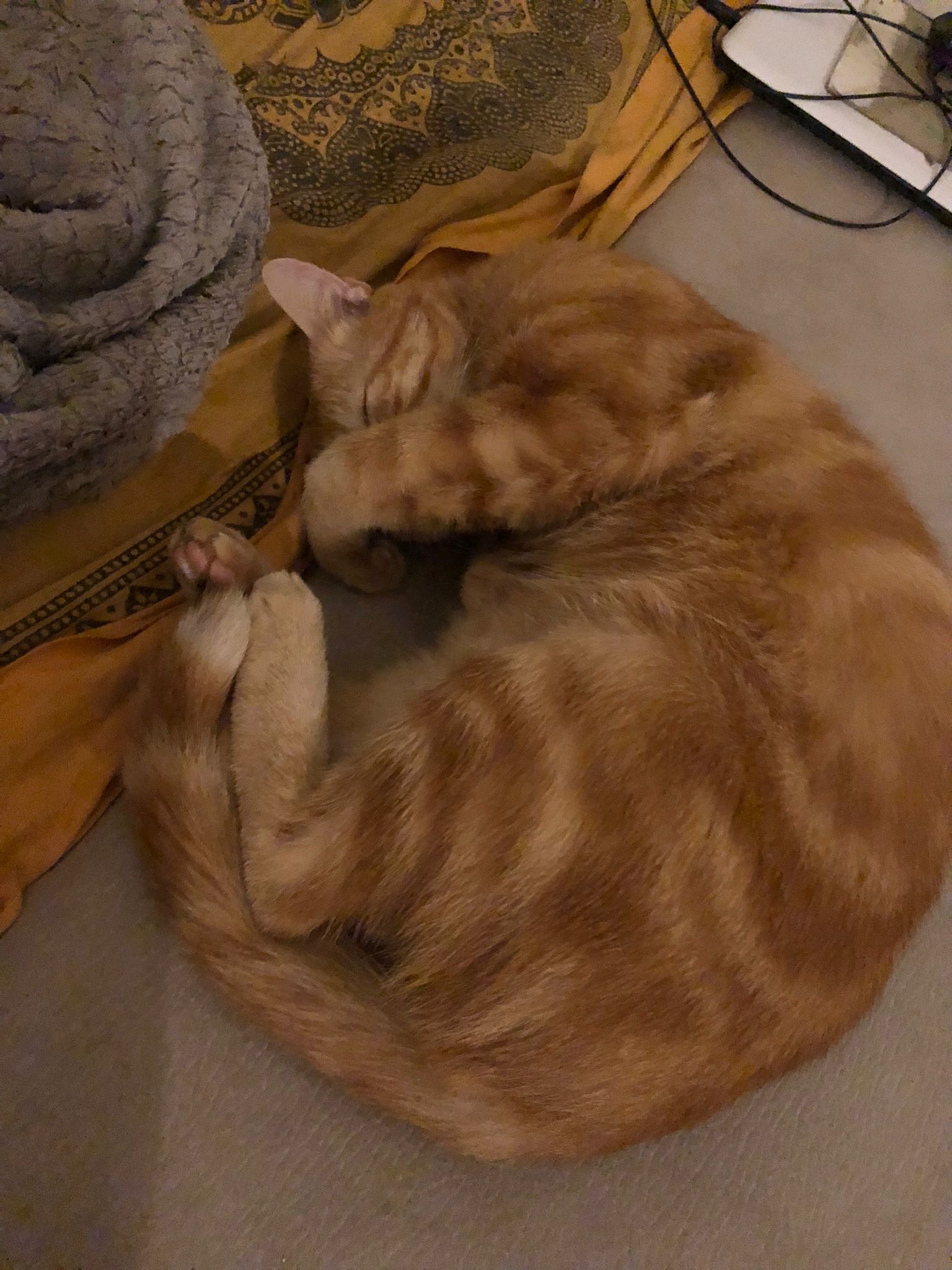 Aran - Buckten - Bâle-Campagne | Annonce Rencontre