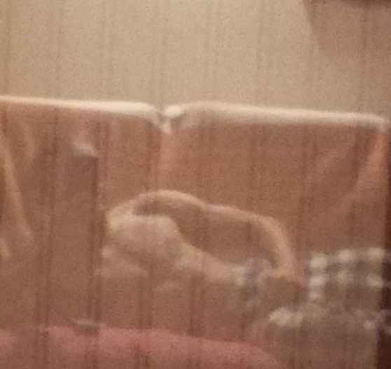 Yvonig - Saclentse - Valais | Annonce Rencontre