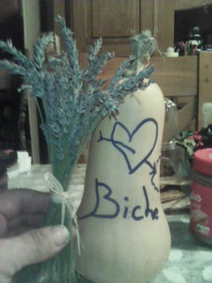 Alister - Widen - Argovie | Annonce Rencontre