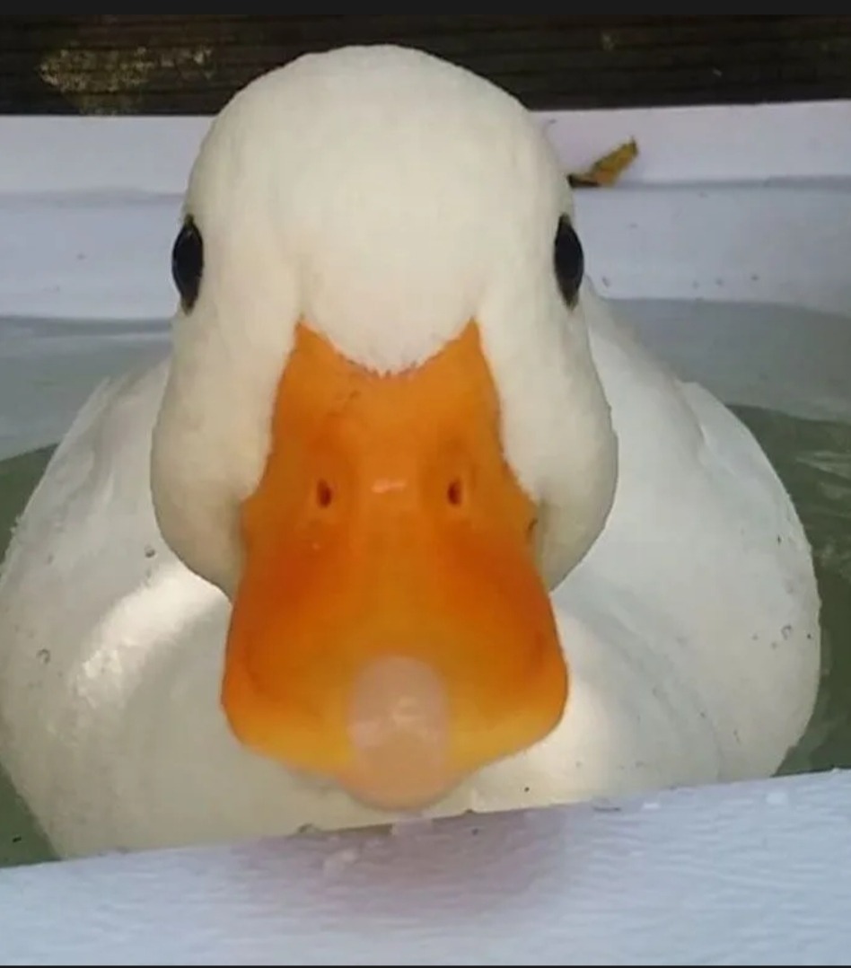 Mateja - Bâle - Bâle-Ville | Annonce Rencontre