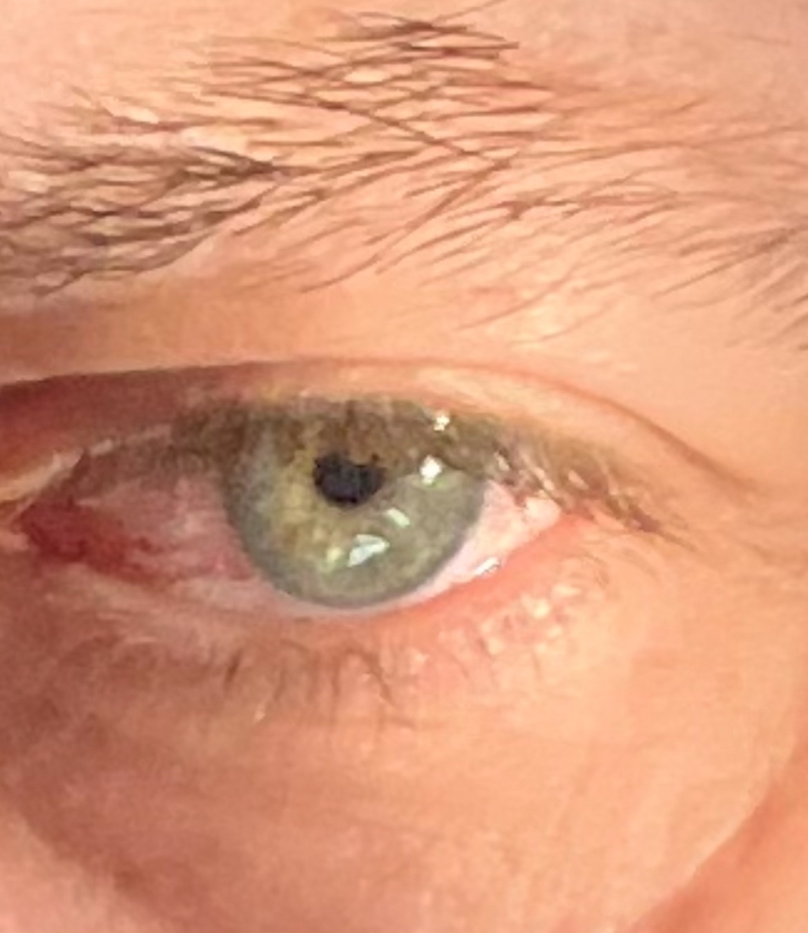 Wassime - Geltwil - Argovie | Annonce Rencontre