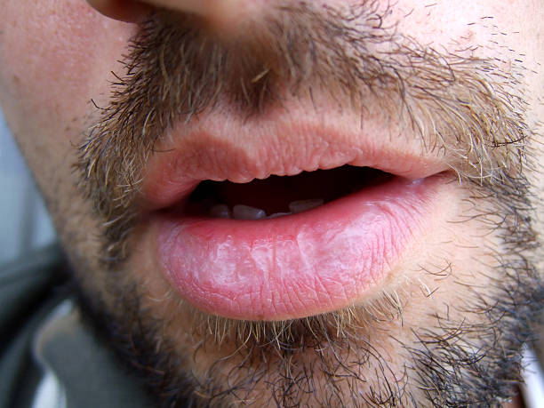 Hillel - Le Mont-sur-Lausanne - Vaud | Annonce Rencontre