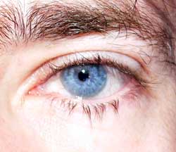 Illario - Corsier GE - Genève | Annonce Rencontre